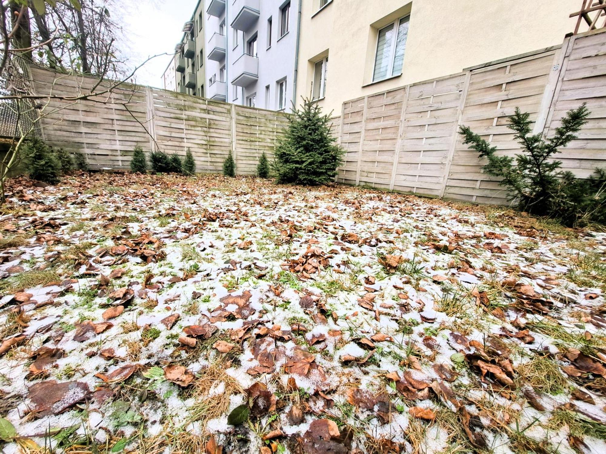 Apartament Z Ogrodem W Sercu Torunia Extérieur photo